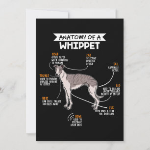 anatomie van een whippet hondenkgift bedankkaart