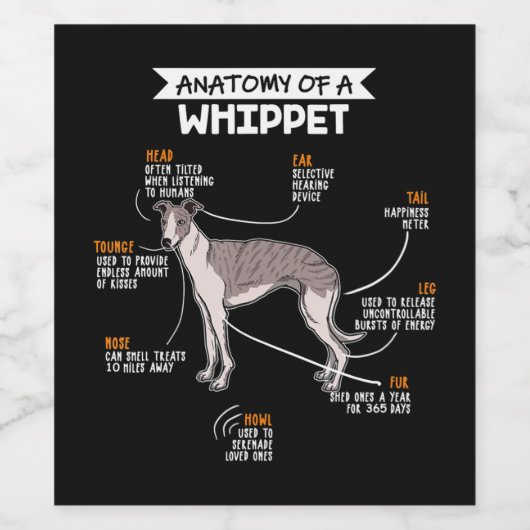 anatomie van een whippet hondenkgift wijn etiket (Enkel label)