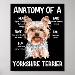 Anatomie van een Yorkshire Terrier voor Hondenlief Poster