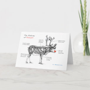 Anatomie van feestdagen kaart