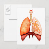 Anatomie van het ademhalingsstelsel van de mens, v briefkaart (Voorkant / Achterkant)