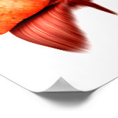 Anatomie van het ademhalingsstelsel van de mens, v poster (Hoek)