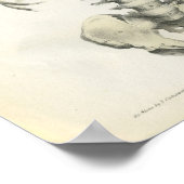 anatomie van het askelet poster (Hoek)