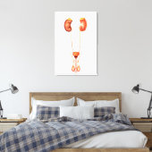 Anatomie van het humane mannelijke urinestelsel, v canvas afdruk (Insitu (Slaapkamer))