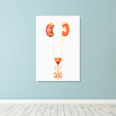Anatomie van het humane mannelijke urinestelsel, v canvas afdruk (Insitu (Houten vloer))