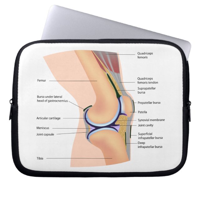 Anatomie van het kniegewricht Electronics Bag Laptop Sleeve (Voorkant)