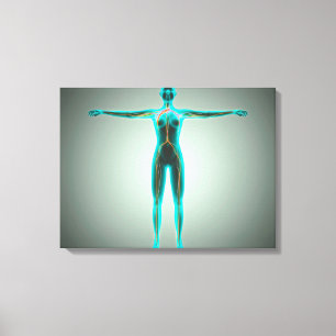 Anatomie van het lichaam van het Vrouw met arteri Canvas Afdruk