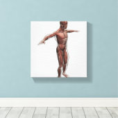 Anatomie van het mannelijke spierstelsel, zij Uitz Canvas Afdruk (Insitu (Houten vloer))