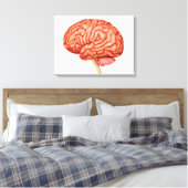 Anatomie van het menselijk brein, zijdelings Uitzi Canvas Afdruk (Insitu (Slaapkamer))