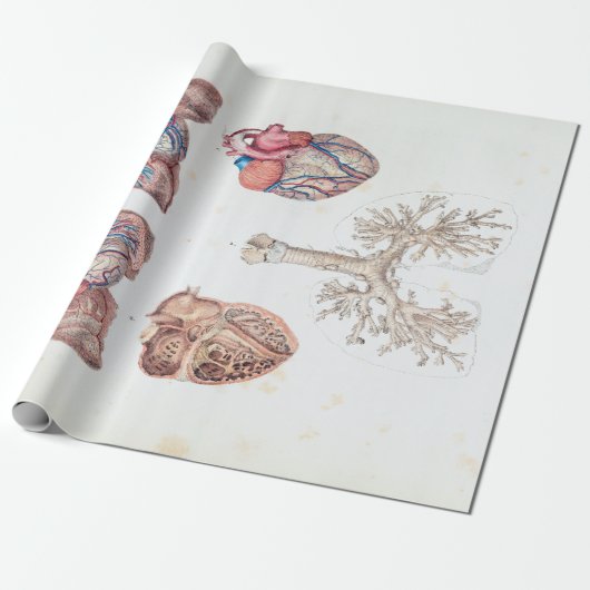  anatomie van het menselijk hart en de longen cadeaupapier (Uitgerold)