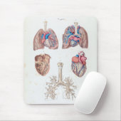  anatomie van het menselijk hart en de longen muismat (Met muis)