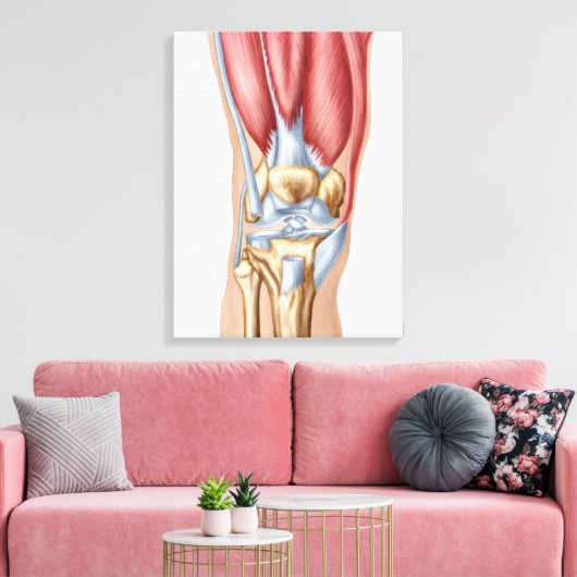 Anatomie van het menselijk kniegewricht canvas afdruk (Insitu (Woonkamer))