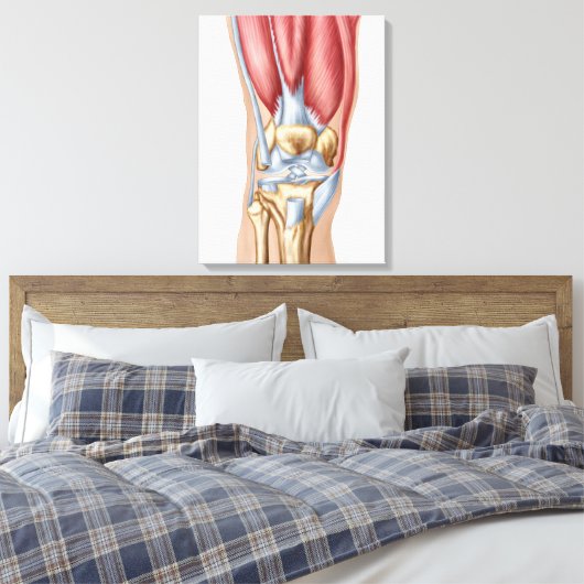 Anatomie van het menselijk kniegewricht canvas afdruk (Insitu (Slaapkamer))