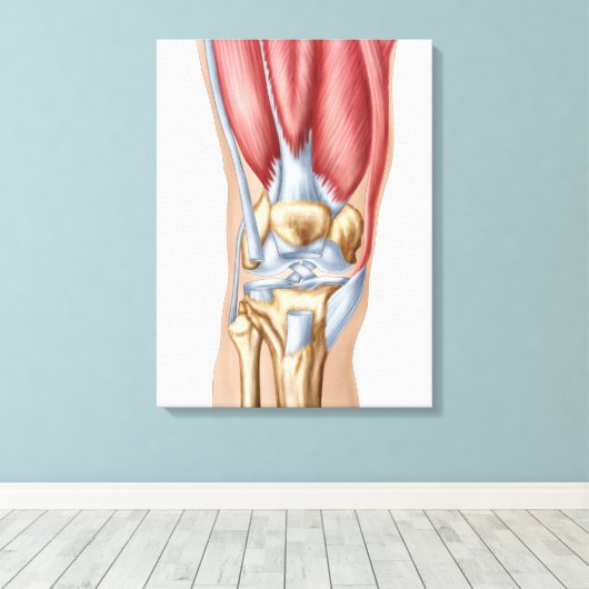 Anatomie van het menselijk kniegewricht canvas afdruk (Insitu (Houten vloer))