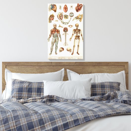 Anatomie van het menselijk lichaam canvas afdruk (Insitu (Slaapkamer))