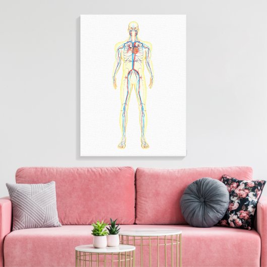 Anatomie van het menselijk lichaam en bloedsomloop canvas afdruk (Insitu (Woonkamer))