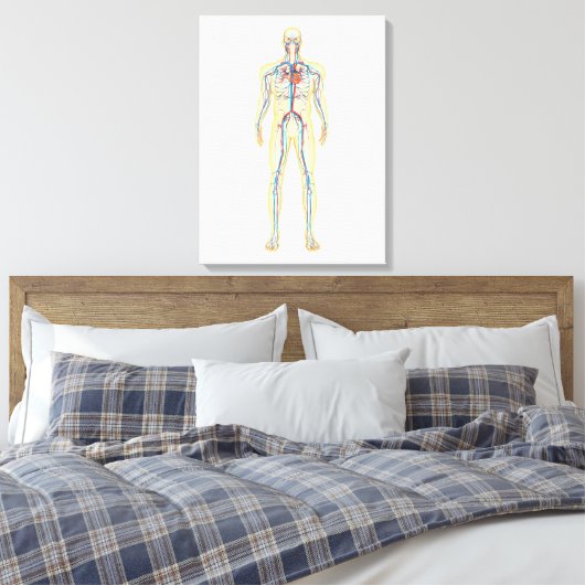 Anatomie van het menselijk lichaam en bloedsomloop canvas afdruk (Insitu (Slaapkamer))