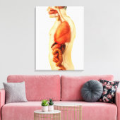 Anatomie van het menselijk lichaam met gehele orga canvas afdruk (Insitu (Woonkamer))