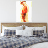 Anatomie van het menselijk lichaam met gehele orga canvas afdruk (Insitu (Slaapkamer))