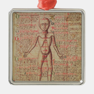 Anatomie van het menselijk lichaam metalen ornament