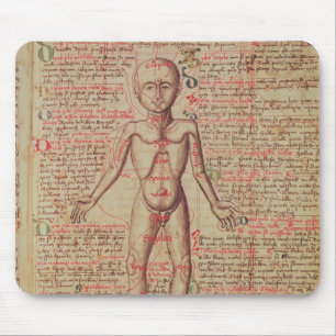 Anatomie van het menselijk lichaam muismat