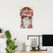 Anatomie van het menselijk lichaam poster (Thuiskantoor)