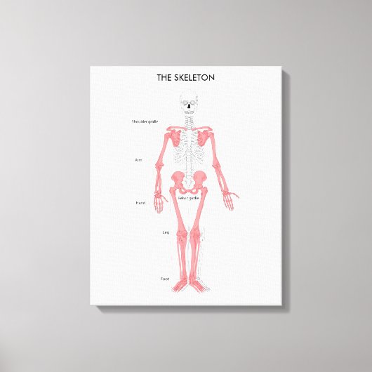 Anatomie van het menselijk lichaam Skeleton Anatom Canvas Afdruk (Voorkant)