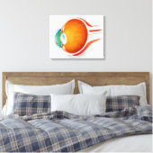 Anatomie van het menselijk oog, perspectief canvas afdruk (Insitu (Slaapkamer))