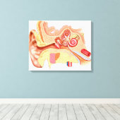 Anatomie van het menselijk oor canvas afdruk (Insitu (Houten vloer))