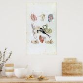  anatomie van het menselijk oor poster (Keuken)
