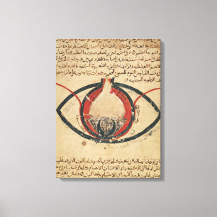 Anatomie van het oog, uit een boek over oogziekten canvas afdruk