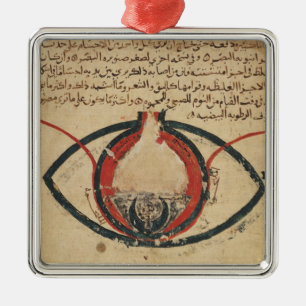 Anatomie van het oog, uit een boek over oogziekten metalen ornament