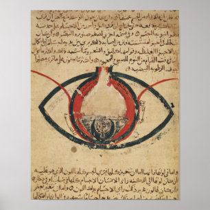 Anatomie van het oog, uit een boek over oogziekten poster