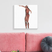 Anatomie van het spierstelsel van mannen, posterio canvas afdruk (Insitu (Woonkamer))