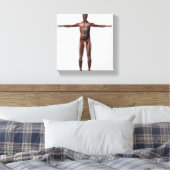 Anatomie van het spierstelsel van mannen, voorzijd canvas afdruk (Insitu (Slaapkamer))