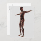 Anatomie van het spierstelsel van mannen, zij Uitz Briefkaart (Voorkant / Achterkant)