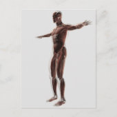 Anatomie van het spierstelsel van mannen, zij Uitz Briefkaart (Voorkant)
