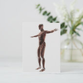 Anatomie van het spierstelsel van mannen, zij Uitz Briefkaart (Staand voorkant)