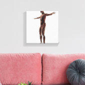 Anatomie van het spierstelsel van mannen, zij Uitz Canvas Afdruk (Insitu (Woonkamer))