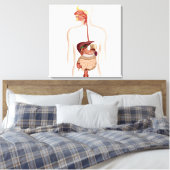 Anatomie van het spijsverteringsstelsel canvas afdruk (Insitu (Slaapkamer))