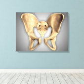 Anatomie van humaan bekkenbot 2 canvas afdruk (Insitu (Houten vloer))