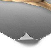 Anatomie van humaan bekkenbot 2 poster (Hoek)