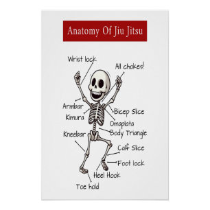 Anatomie van Jiu Jitsu BJJ Skeleton Inzendingen Gy Perfect Poster