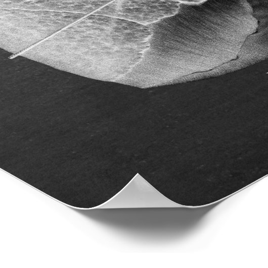 Anatomie van Lungs Hart Anterior Uitzicht Poster (Hoek)