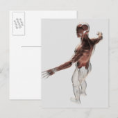 Anatomie van mannelijke spieren in bovenlichaam 2 briefkaart (Voorkant / Achterkant)