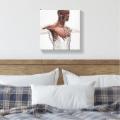 Anatomie van mannelijke spieren in bovenlichaam, v canvas afdruk (Insitu (Slaapkamer))