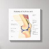 Anatomie van menselijk kniegewricht canvas afdruk (Voorkant)
