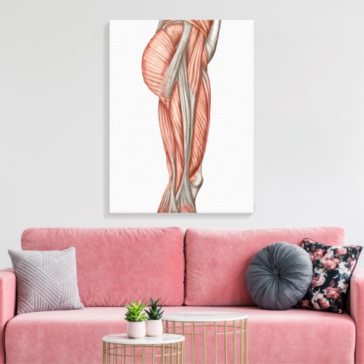 Anatomie van menselijke dijspieren, voorste Uitzic Canvas Afdruk (Insitu (Woonkamer))