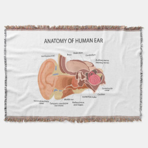 Anatomie van menselijke oren deken