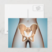 Anatomie van Pelvic Bone op het Vrouw lichaam Briefkaart (Voorkant / Achterkant)
